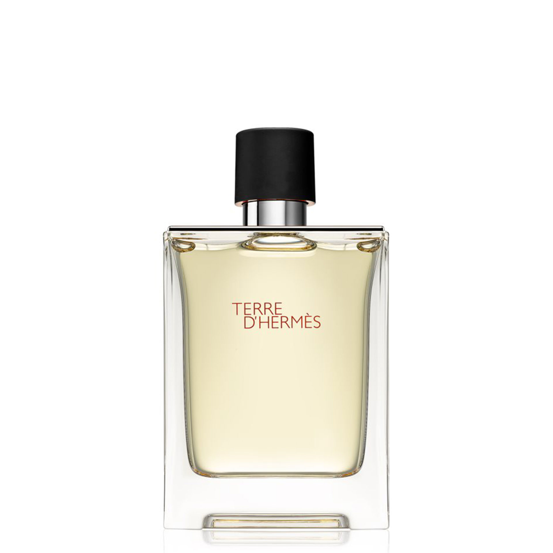 Hermes Terre D`Hermes Eau de Toillete 100ml