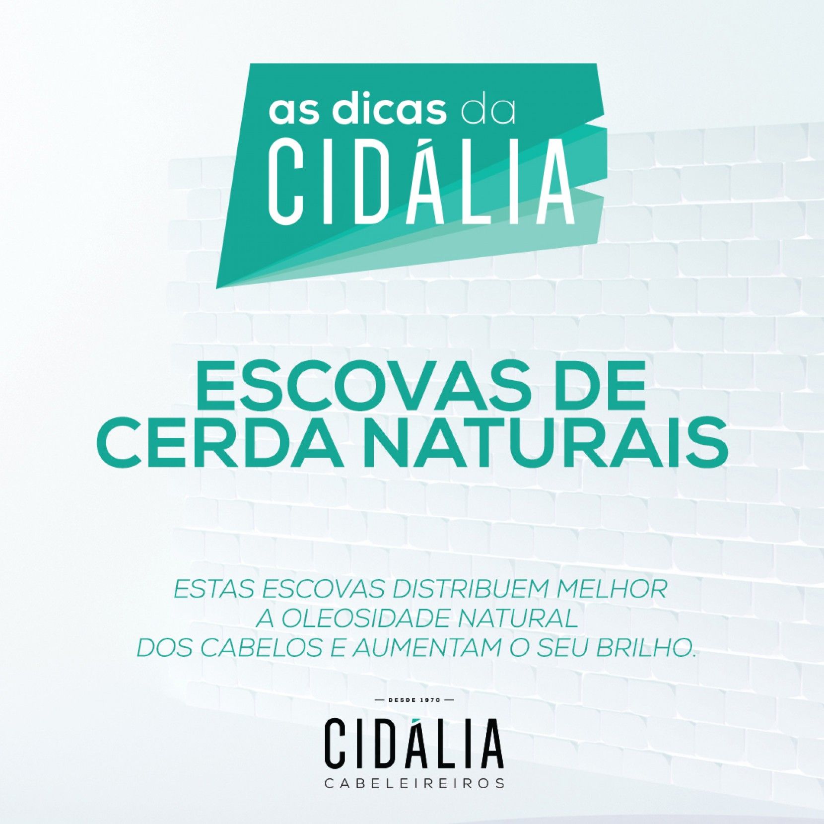 Cuide do seu cabelo com escovas de cerda natural!🥰
