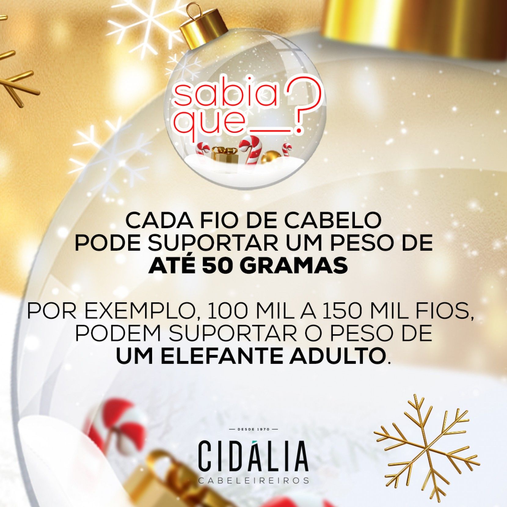 Sabia que cada fio de cabelo pode suportar um peso de at 50 gramas? 💪