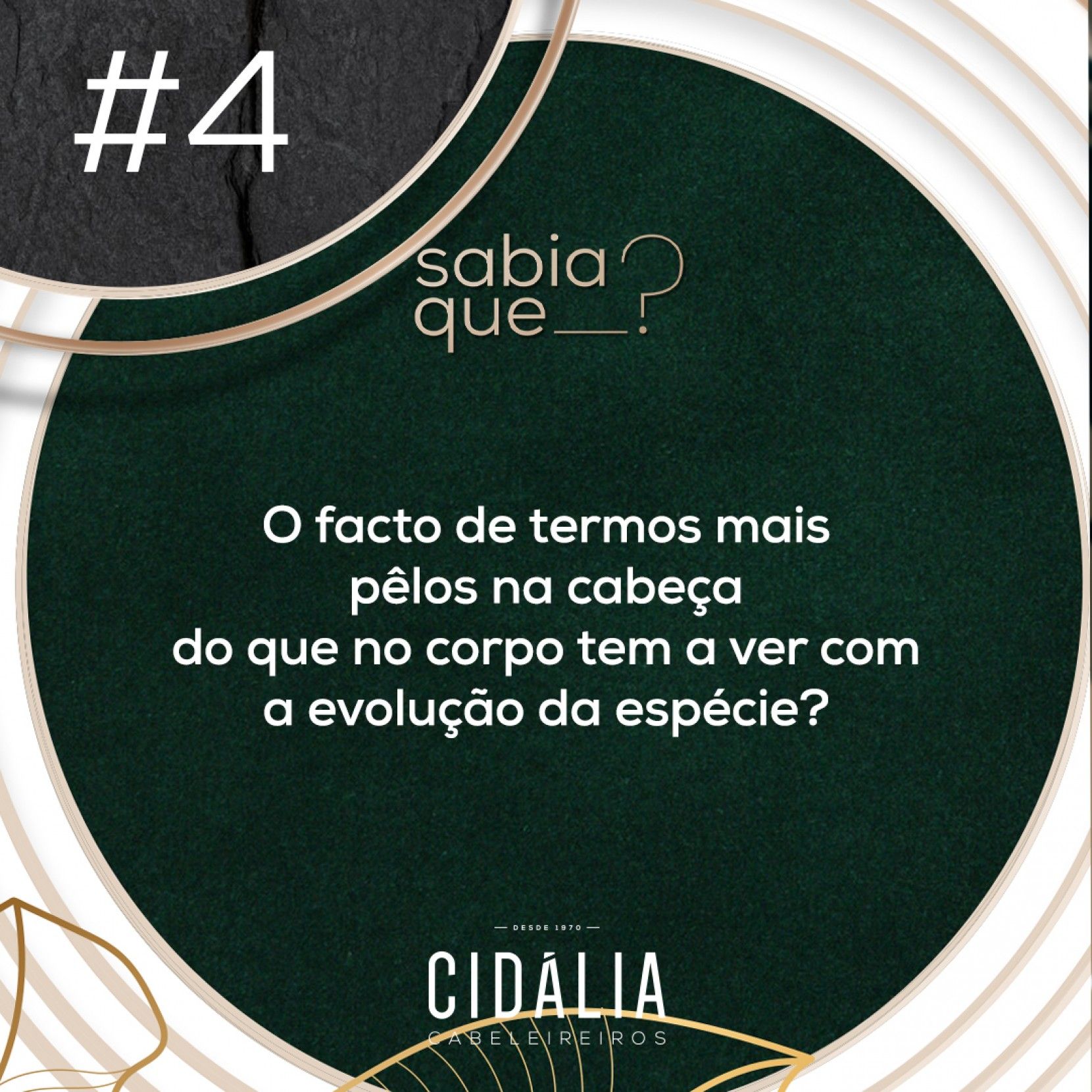 Sabia que temos mais plos na cabea do que no resto do corpo, por causa da evoluo do ser-humano?  🤔