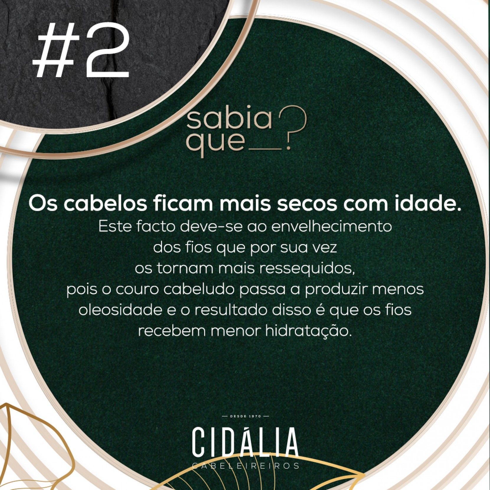 Sabia que o cabelo fica seco com a idade? 🤔