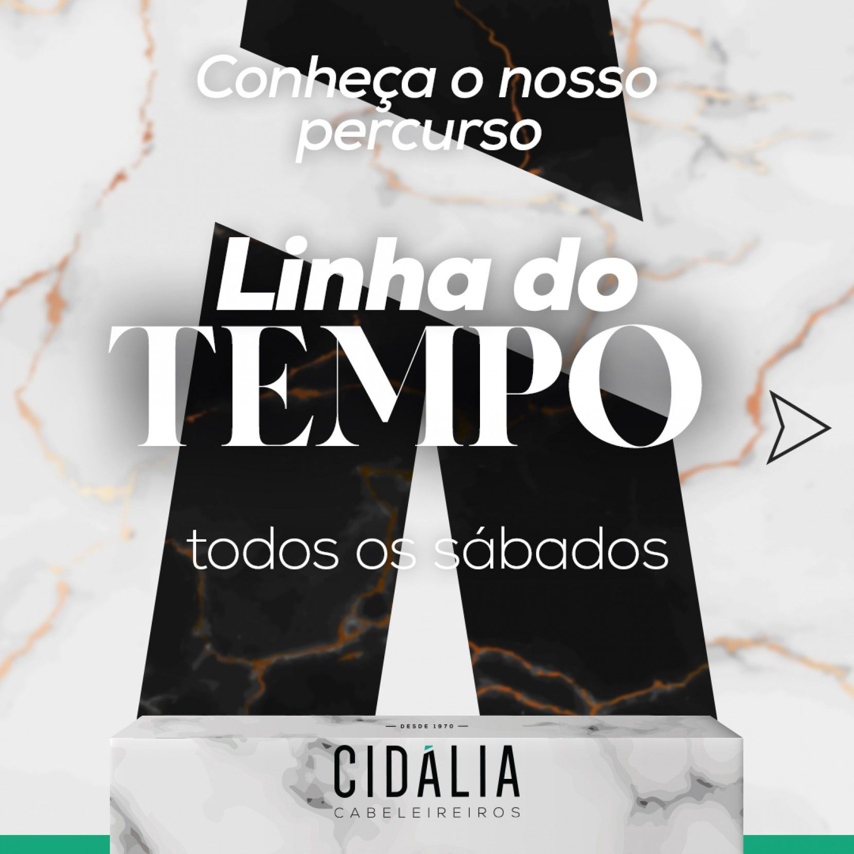 Linha do Tempo- Cidlia Cabeleireiros III
