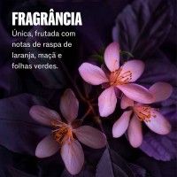 Wella Ultimate Color Shampoo 250ml